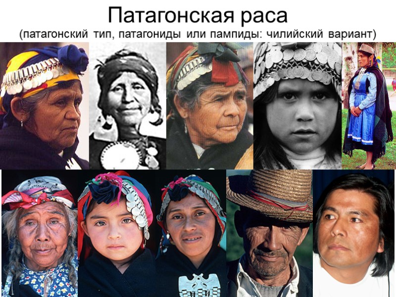 Патагонская раса (патагонский тип, патагониды или пампиды: чилийский вариант)